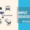 Input Devices of Computer: Definition, Types, Examples, and Uses