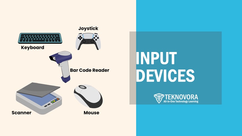 Input Devices of Computer: Definition, Types, Examples, and Uses