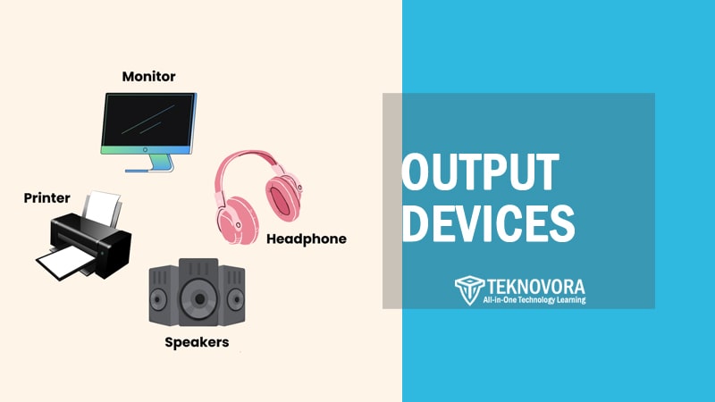 Output Devices of Computer: Types, Examples, and Their Functions