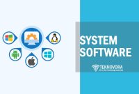 Computer Software Explained: Definition, Core Types, Roles, and Real-Life Uses