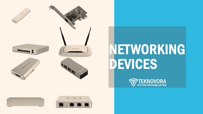 Networking Devices: Definition, Types, Functions, and Examples